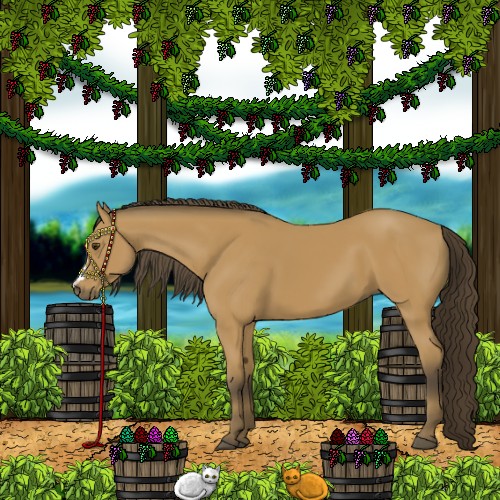Horse Color:Buckskin 