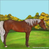 Horse Color:Silver Brown