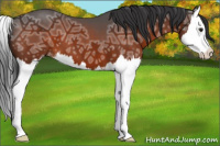 Horse Color:Brown Ice Sabino Splash Varnish