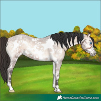 Horse Color:Bay Ice Roan Onyx Frame 