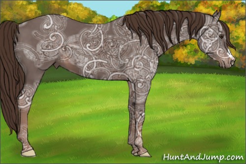 Horse Color:Liver Chestnut Ice 