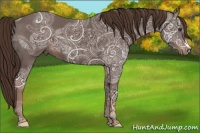 Horse Color:Liver Chestnut Ice 
