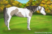 Horse Color:Smoky Grullo Splash Tobiano