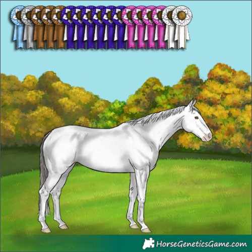 Horse Color:Classic Champagne Dun Sabino Rabicano 