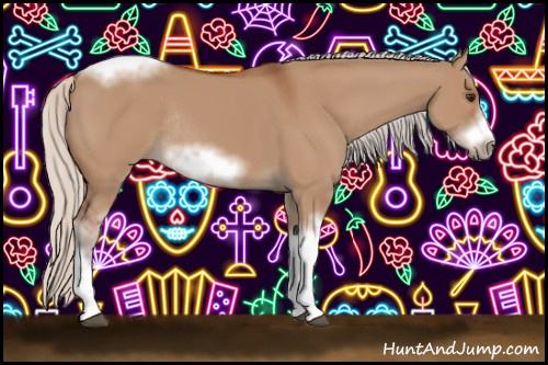 Horse Color:Silver Bay Dun Sabino Tobiano Frame Rabicano