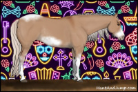 Horse Color:Silver Bay Dun Sabino Tobiano Frame Rabicano 