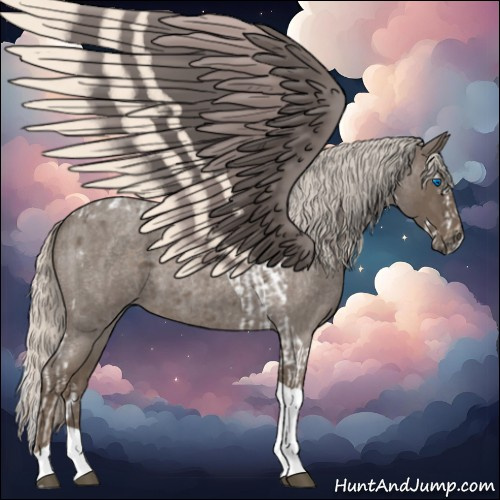 Horse Color:Silver Blue Roan Splash Tobiano and Silver Blue Roan Tobiano