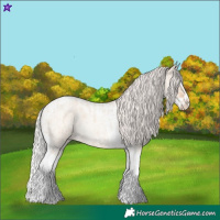 Horse Color:Silver Classic Champagne Roan Dun Splash Tobiano  and Silver Classic Champagne Roan Dun Splash Tobiano 