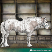 Horse Color:Silver Blue Roan Splash Tobiano and Silver Blue Roan Splash Tobiano
