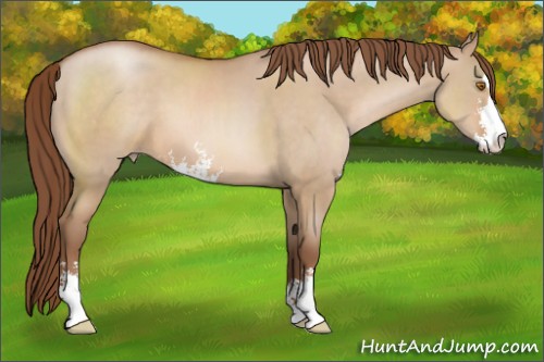 Horse Color:Brown Pearl Dun Sabino 