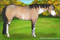 Horse Color:Brown Dun Sabino Rabicano