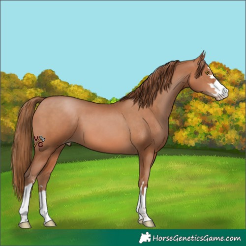 Horse Color:Brown Pearl 
