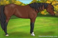 Horse Color:Brown 