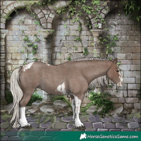 Horse Color:Silver Blue Roan Splash Tobiano  and Silver Blue Roan Splash Tobiano 