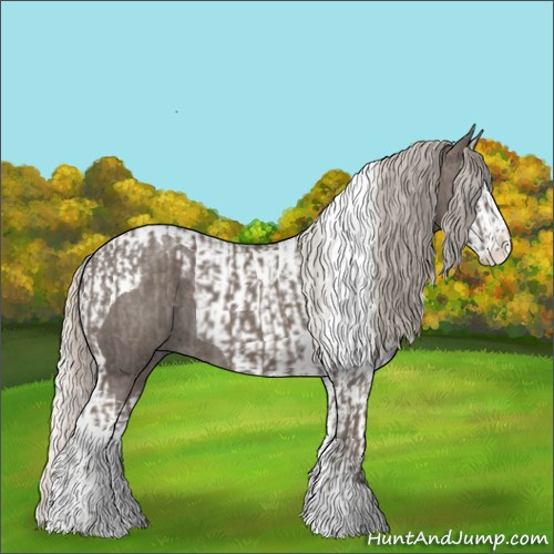 Horse Color:Silver Blue Roan Splash Tobiano and Silver Blue Roan Splash Tobiano