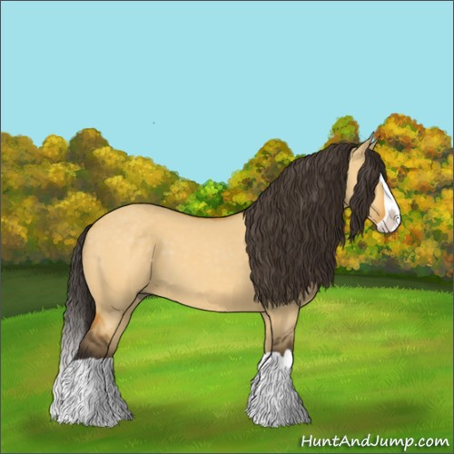 Horse Color:Buckskin Dun Splash 