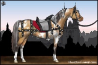 Horse Color:White Spotted Buckskin Dun 
