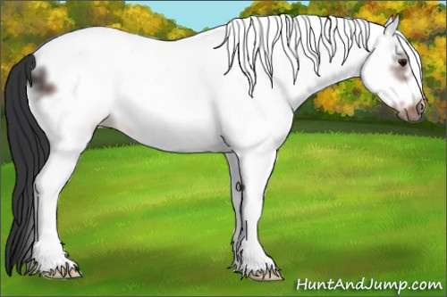 Horse Color:White Spotted Brown Frame 