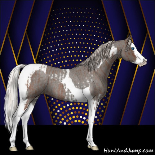 Horse Color:Silver Blue Roan Splash Tobiano  and Silver Blue Roan Splash Tobiano 