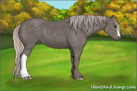 Horse Color:Silver Black 