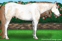 Horse Color:White Spotted Bay Pearl Dun Tobiano Rabicano 