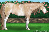 Horse Color:White Spotted Black Pearl Rabicano 