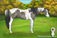 Horse Color:Grullo Sabino Splash Tobiano 
