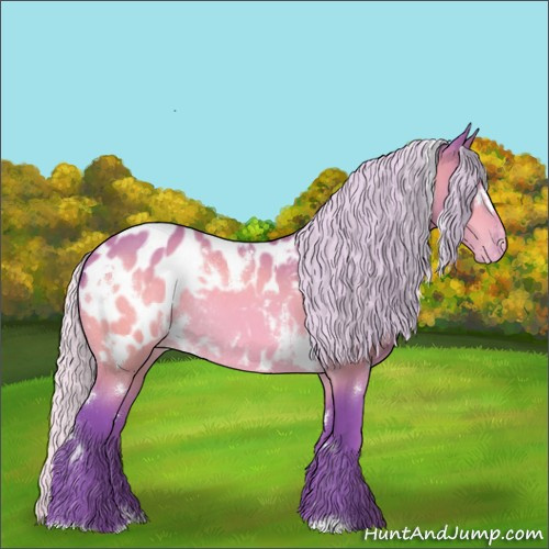 Horse Color:Watercolor White Spotted Silver Bay Appaloosa Rabicano 