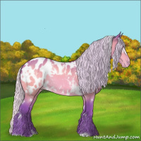 Horse Color:Watercolor White Spotted Silver Bay Blanket Rabicano 