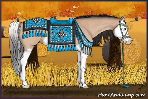 Horse Color:Brown Roan Dun Splash