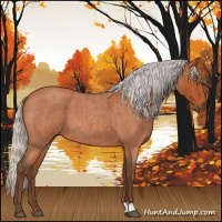 Horse Color:Silver Bay Roan 