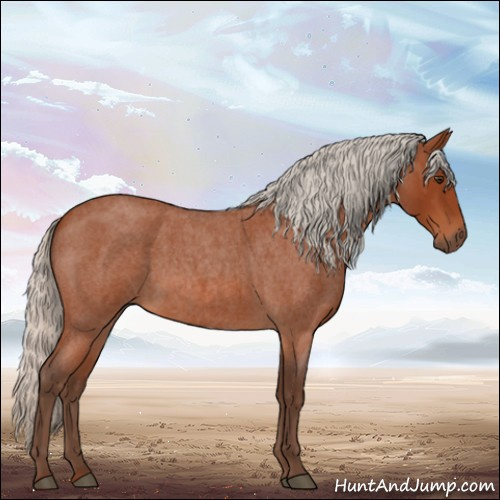 Horse Color:Silver Brown Roan 