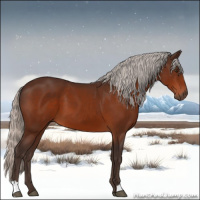 Horse Color:Silver Brown 