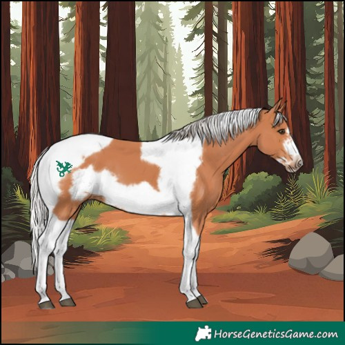 Horse Color:Silver Bay Tobiano Frame 