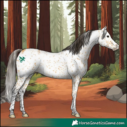 Horse Color:Buckskin Sabino 