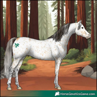 Horse Color:Buckskin Sabino 