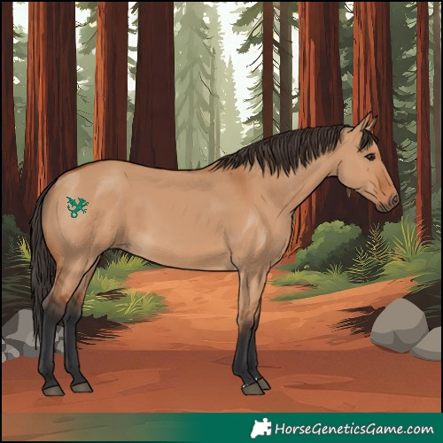 Horse Color:Bay Dun 