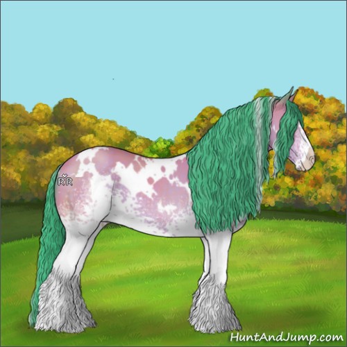 Horse Color:Watercolor White Spotted Bay 