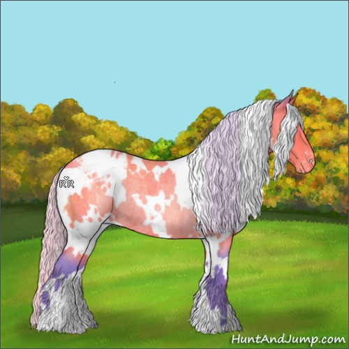 Horse Color:Watercolor White Spotted Silver Bay Roan Appaloosa Rabicano 