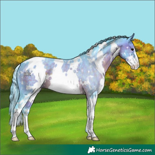 Horse Color:Watercolor White Spotted Brown Sabino 