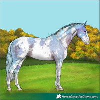 Horse Color:Watercolor White Spotted Brown Sabino