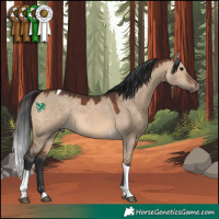 Horse Color:Brown Dun Tobiano Rabicano