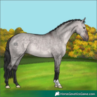 Horse Color:Platinum Bay Dun 