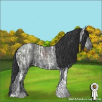Horse Color:Black Ice Sabino Tobiano 