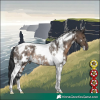 Horse Color:White Spotted Brown Dun Tobiano Rabicano