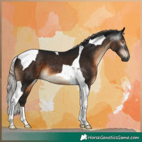 Horse Color:Gray Silver Brown Tobiano