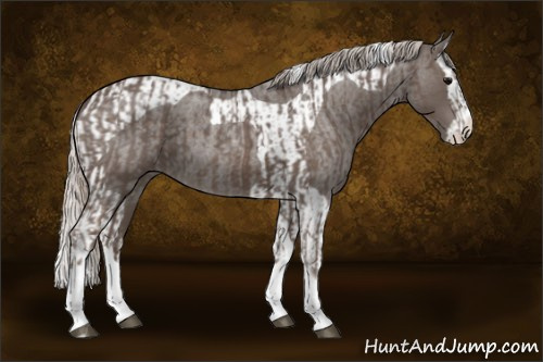 Horse Color:Silver Blue Roan Splash Tobiano  and Silver Blue Roan Splash Tobiano 