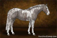 Horse Color:Silver Blue Roan Splash Tobiano  and Silver Blue Roan Splash Tobiano 