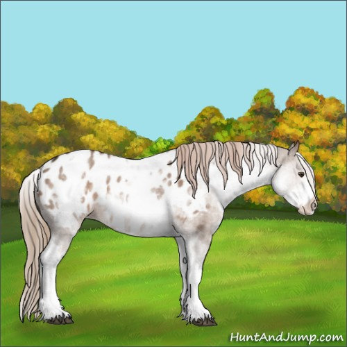 Horse Color:White Spotted Liver Red Dun Roan Blanket 