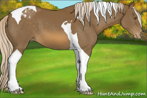 Horse Color:Chocolate Palomino Tobiano Varnish